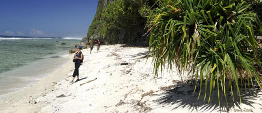 Pension : Rurutu Lodge